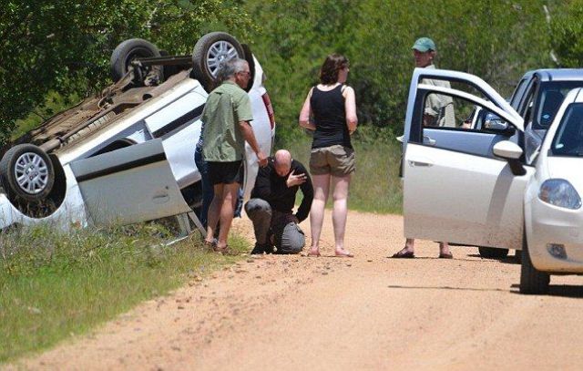 it_seems_that_this_elephant_doesnt_like_cars_640_06