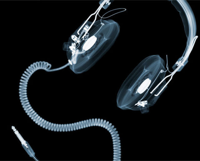 amazing_xray_artwork_640_18