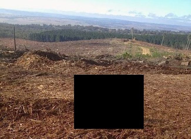 ubFlnRGxvtCQqxK1366851470_1366851476