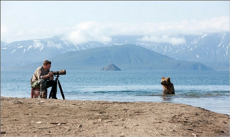 bearsinkamchatka3422