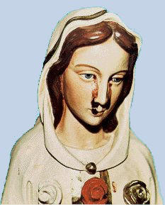 z_rosa_mistica_sangre