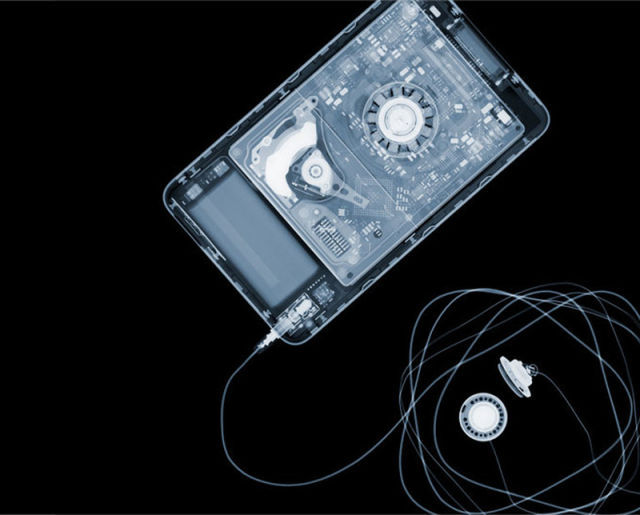 amazing_xray_artwork_640_19