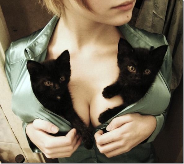 Titty-Kitties-Banned-In-Hollywood-01_thumb[1]