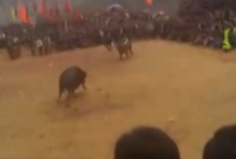 EqH9rgbf5OcIO4G1355504583