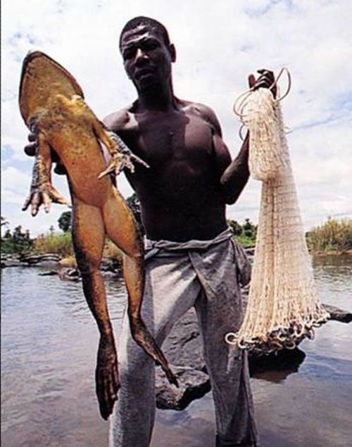 tumblr_lxe54vVKO41qc6j5yo1_500