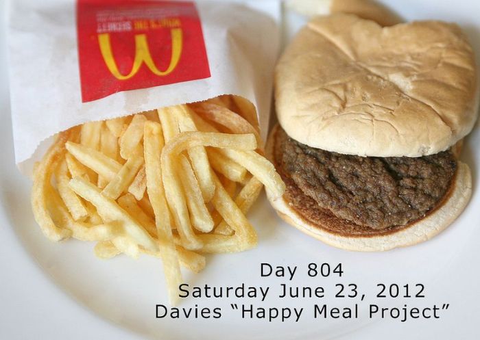 happy_meal_project_16