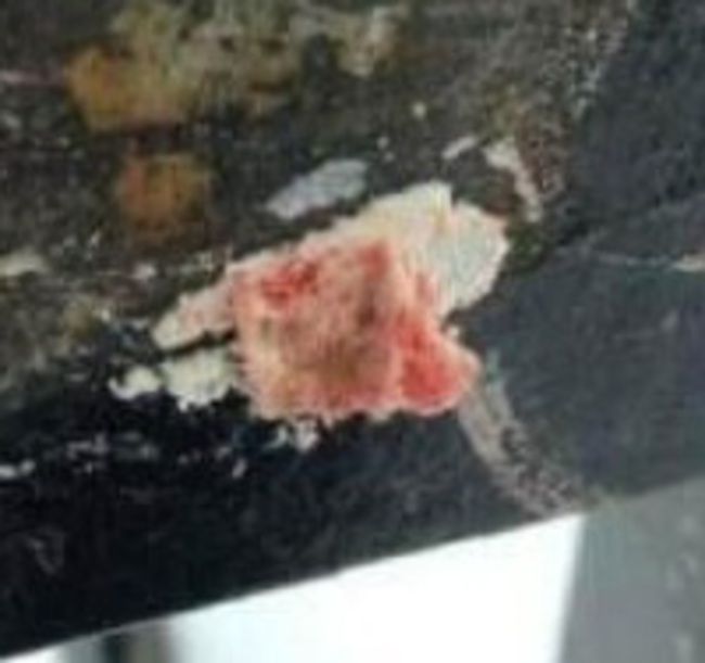 jBaVnDFHiv5Nek41355619445_1355619495