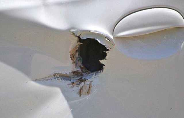 it_seems_that_this_elephant_doesnt_like_cars_640_08