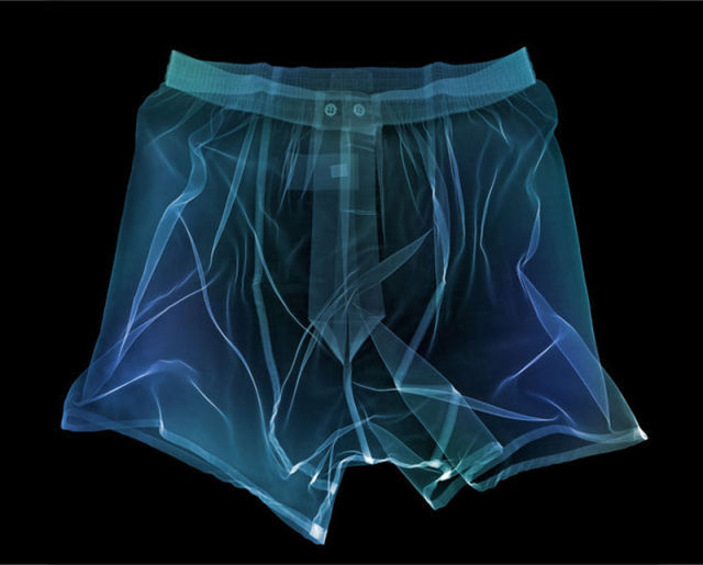 amazing_xray_artwork_640_03