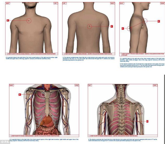 article-2120557-1257BF48000005DC-568_634x553