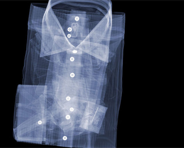 amazing_xray_artwork_640_36