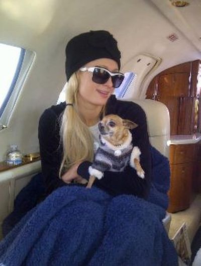 parishilton_14