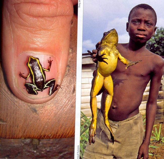 LtBApOAcLZGALLg1356000340_1356000359