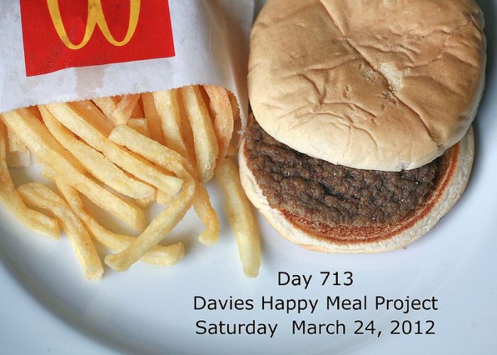happy_meal_project_15