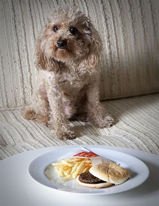 happy_meal_project_21