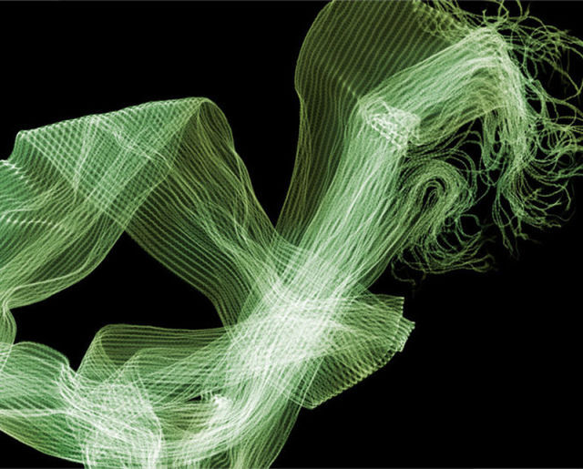 amazing_xray_artwork_640_33