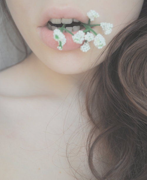 tumblr_lz2zod2sE01qecdjro1_500