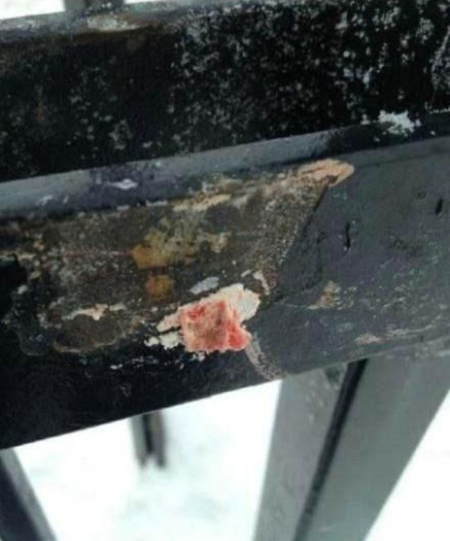 KYX65ncgSFeksRK1355619313_1355619317