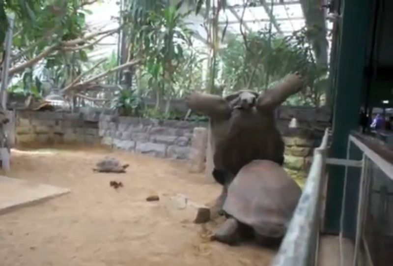 6zn9MJ9_4OXMMpz1352205569