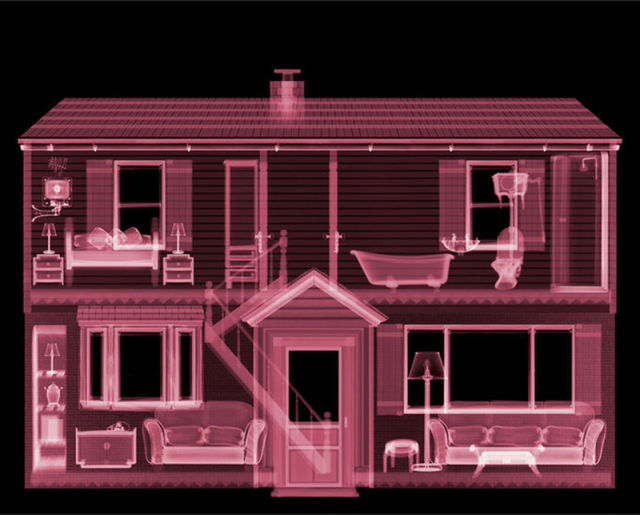 amazing_xray_artwork_640_09