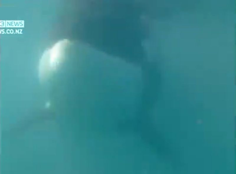 IA0t0Eb6_Bv37B0_1350478762