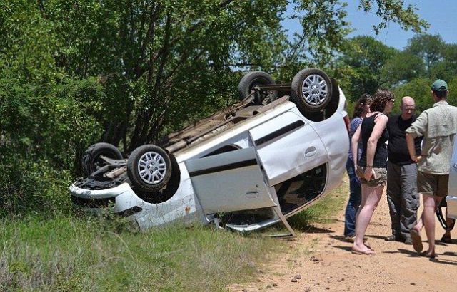 it_seems_that_this_elephant_doesnt_like_cars_640_09