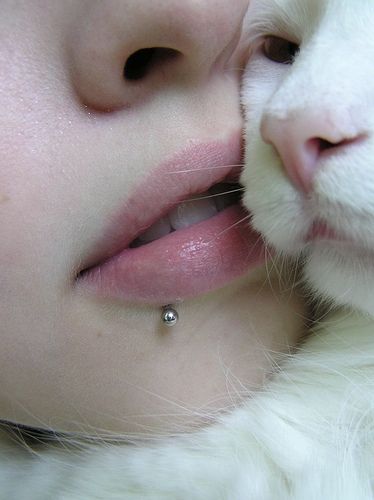 tumblr_lnrerviE1q1qc4co3o1_400