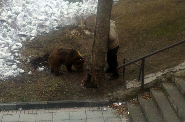 going_out_with_a_pet_04