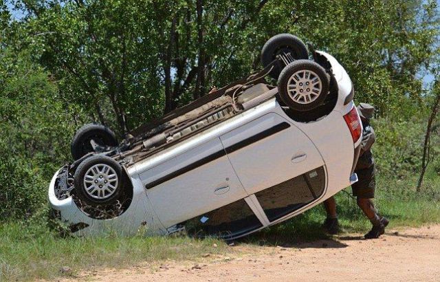 it_seems_that_this_elephant_doesnt_like_cars_640_10